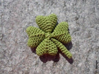 Papertrey Ink - Seasonal Stitching: Clovers Die Collection (set of 2)