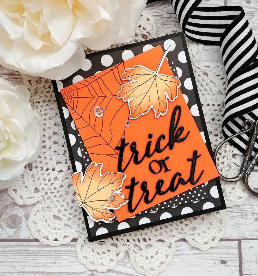 Caught In My Web Stamp Set