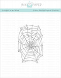Caught In My Web Stamp Set