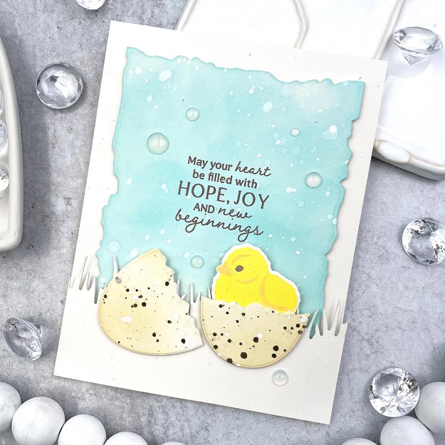 Feathered Friends Mini 20 Mini Stamp Set