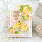 Feathered Friends Mini 20 Mini Stamp Set