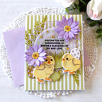 Feathered Friends Mini 20 Mini Stamp Set