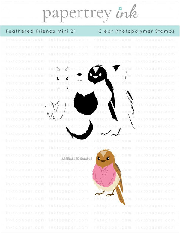 Feathered Friends Mini 21 Mini Stamp Set