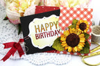 Birthday Your Way Stamp Set