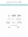 Larger than Life: Baby Sentiments Mini Stamp Set