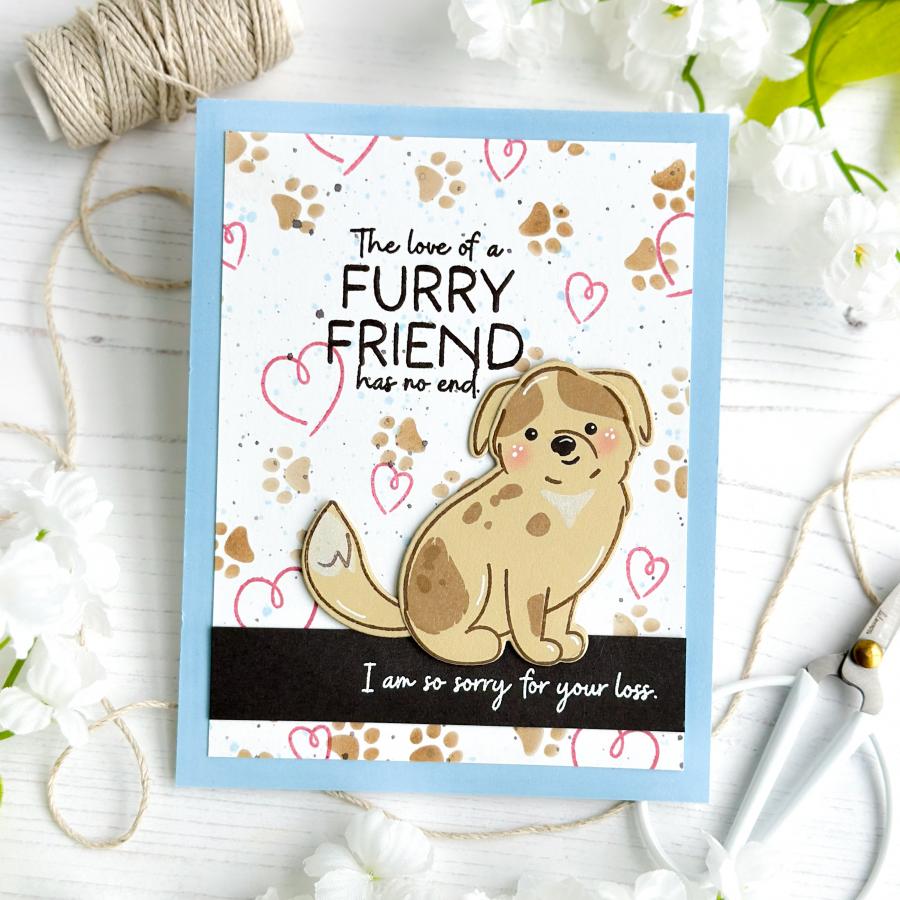 Paw Prints Stamp Set