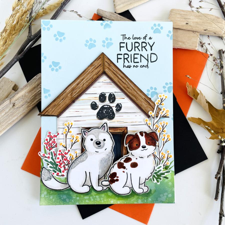 Paw Prints Stamp Set