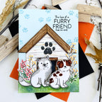 Paw Prints Stamp Set