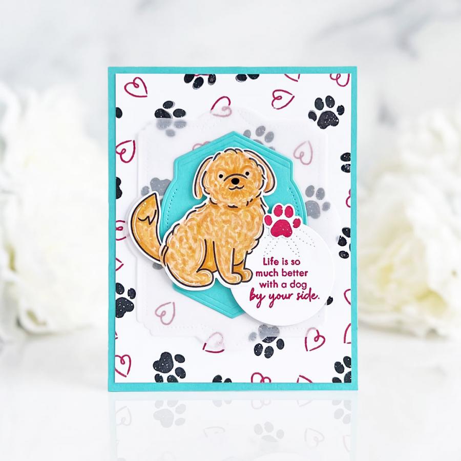 Paw Prints Stamp Set