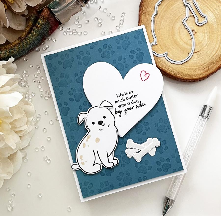 Paw Prints Stamp Set