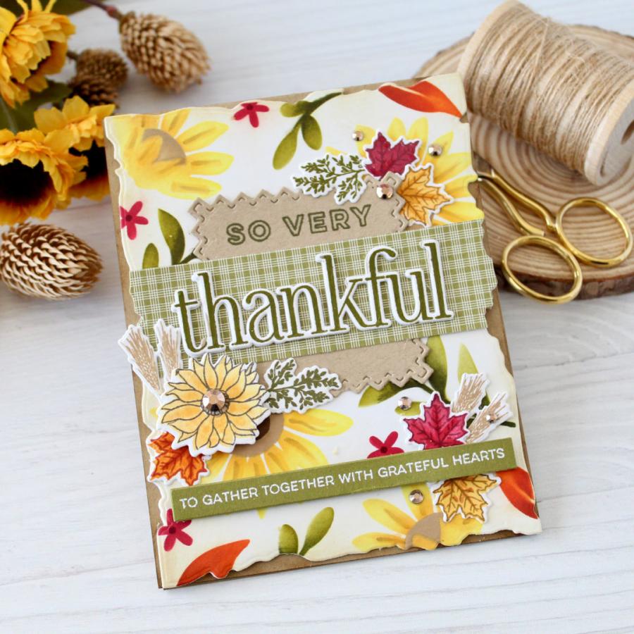 This is Big Sentiments: Thankful Stamp Set