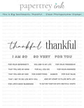This is Big Sentiments: Thankful Stamp Set