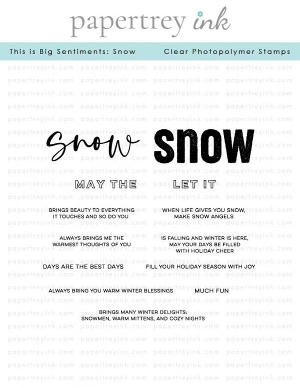This is Big Sentiments: Snow Stamp Set