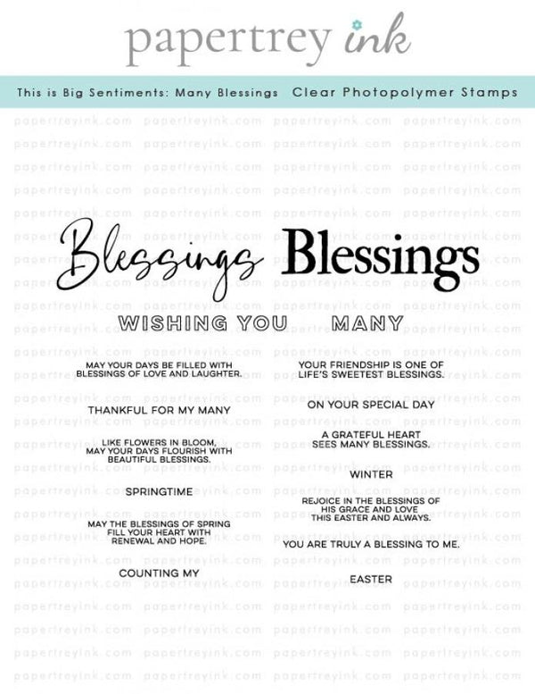 This is Big Sentiments: Many Blessings Stamp Set
