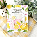 Main Squeeze Stamp Set