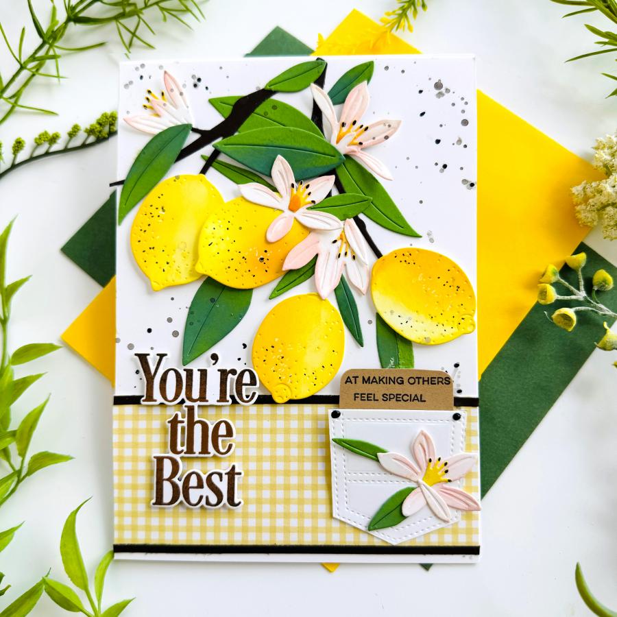 This is Big Sentiments: You're the Best Stamp Set