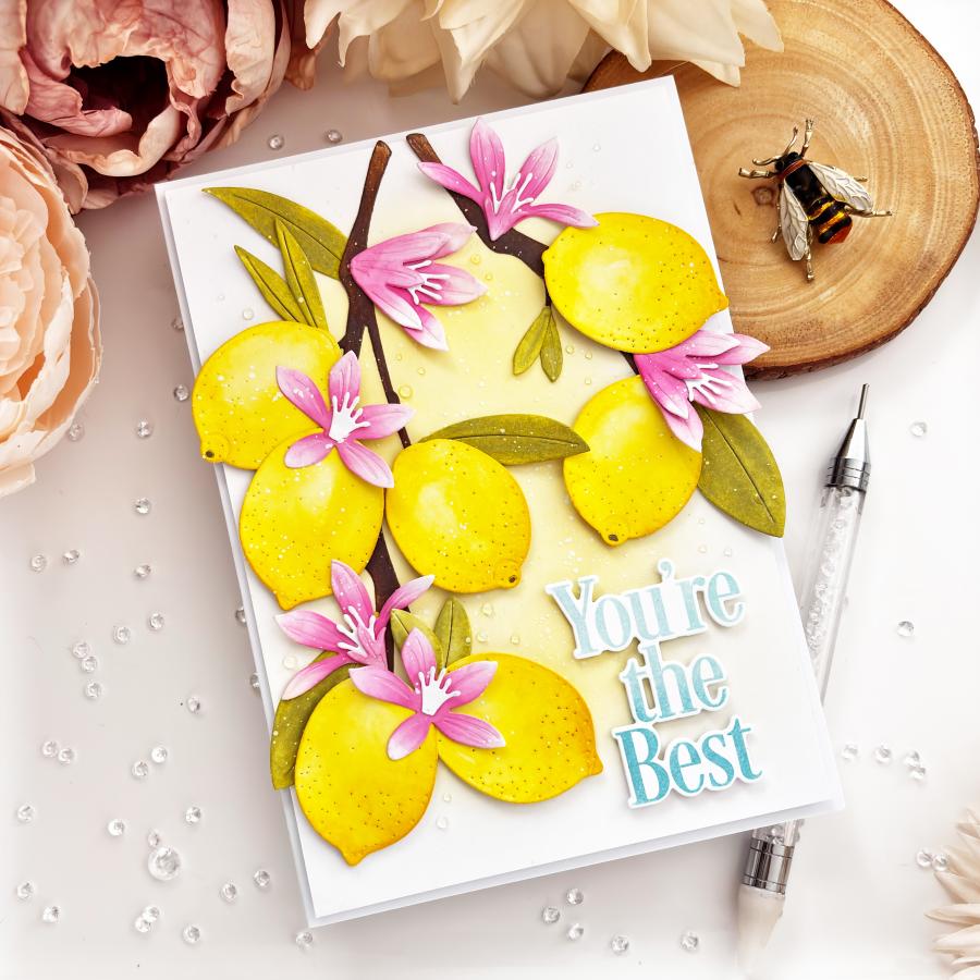 This is Big Sentiments: You're the Best Stamp Set