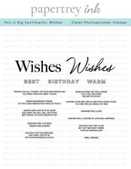 This is Big Sentiments: Wishes Stamp Set