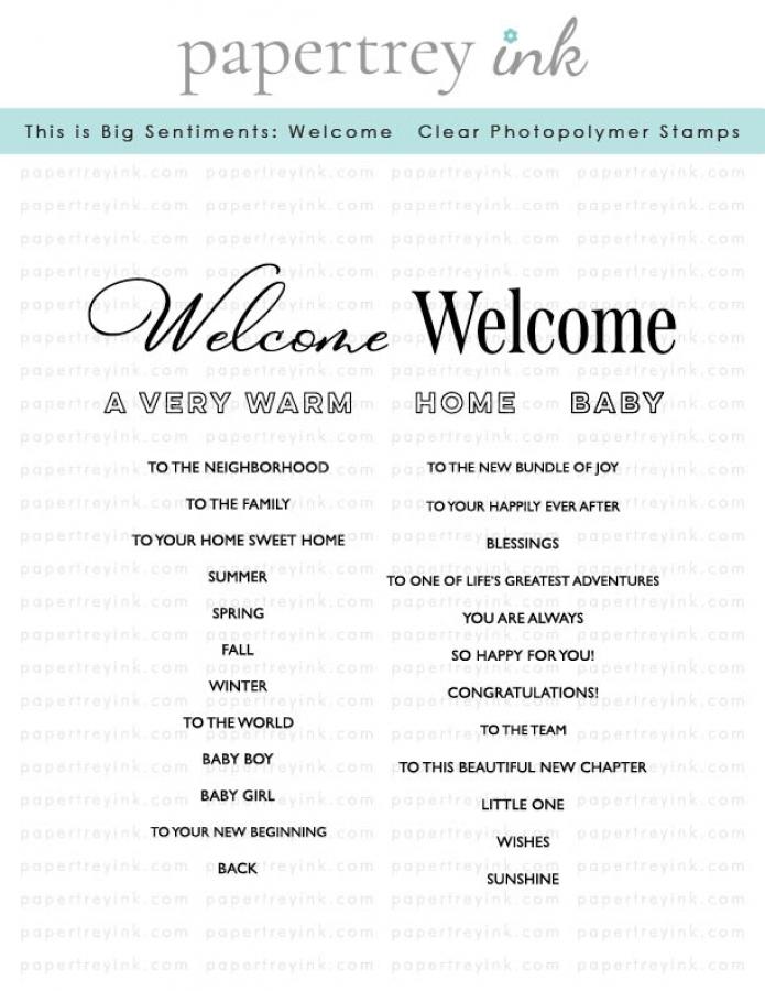 This is Big Sentiments: Welcome Stamp Set