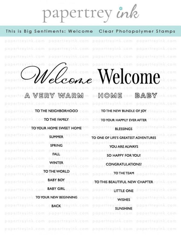 This is Big Sentiments: Welcome Stamp Set