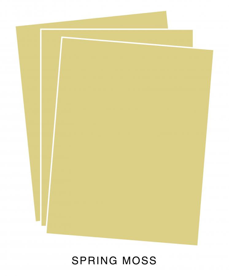 Perfect Match Spring Moss Premium Cardstock (24 sheets)