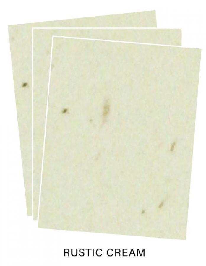 Paper Basics - Rustic Cream Premium Cardstock (24 Sheets)