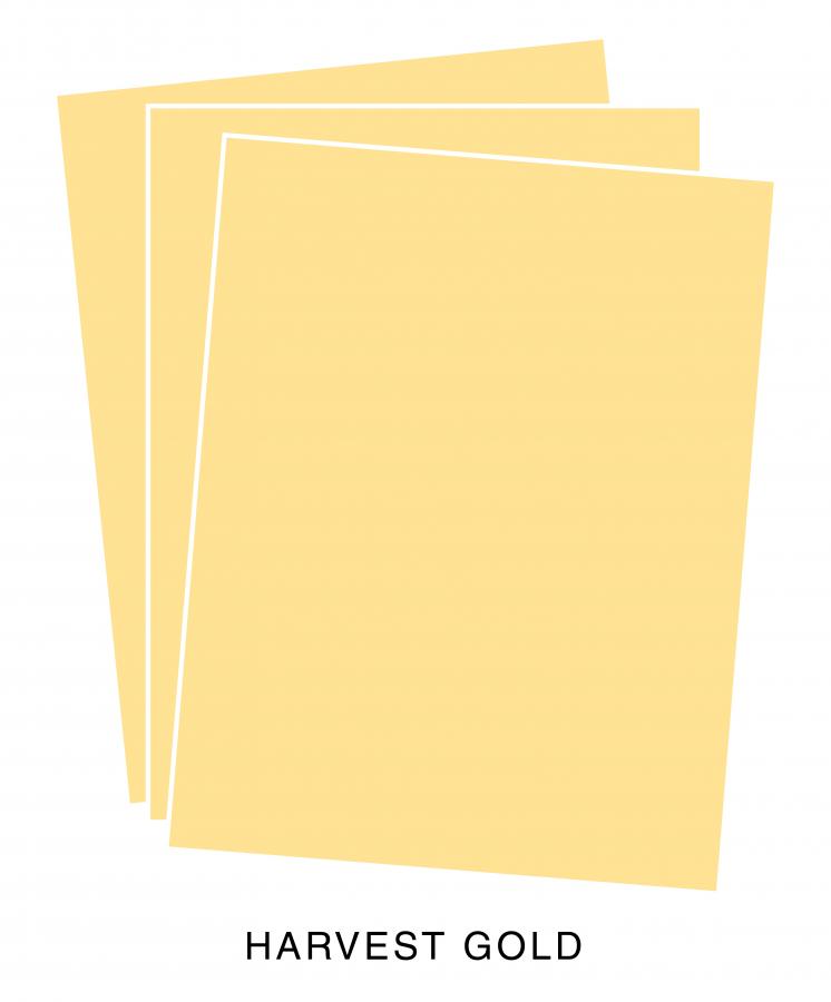 Perfect Match Harvest Gold Premium Cardstock (24 sheets)