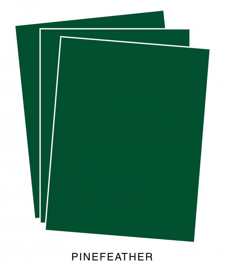 Perfect Match Pinefeather Premium Cardstock (24 sheets)