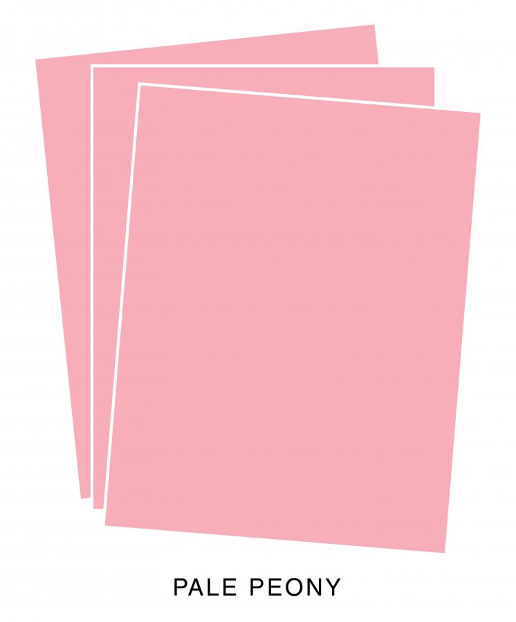 Perfect Match Pale Peony Premium Cardstock (24 Sheets)
