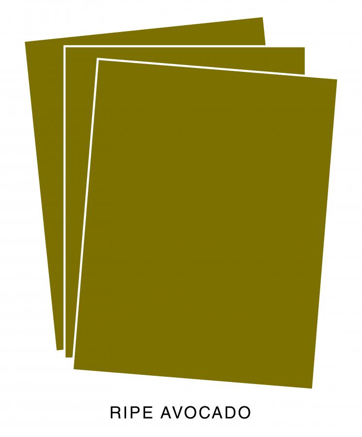 Perfect Match Ripe Avocado Premium Cardstock (12 Sheets)