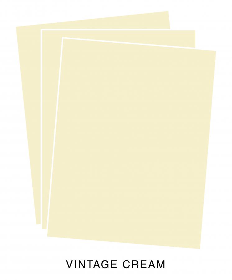 Paper Basics - Vintage Cream Premium Cardstock (12 Sheets)