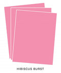 Perfect Match Hibiscus Burst Premium Cardstock (12 sheets)