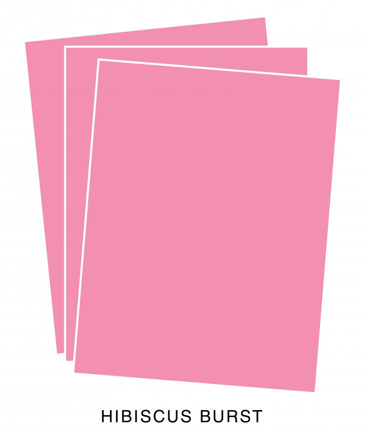 Perfect Match Hibiscus Burst Premium Cardstock (12 sheets)