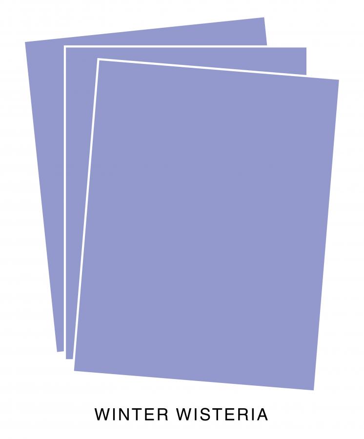 Perfect Match Winter Wisteria Premium Cardstock (12 sheets)