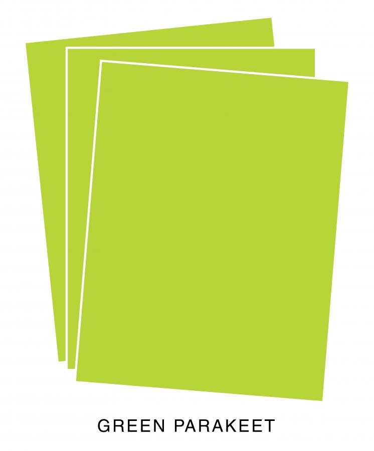 Perfect Match Green Parakeet Premium Cardstock (12 Sheets)