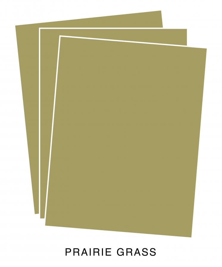 Perfect Match Prairie Grass Premium Cardstock (12 Sheets)
