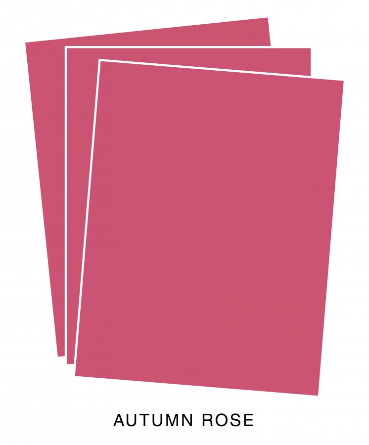 Perfect Match Autumn Rose Premium Cardstock (50 sheets)
