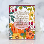 Reflections Collection Subscription