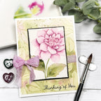 Framed In Flowers Stamp Set