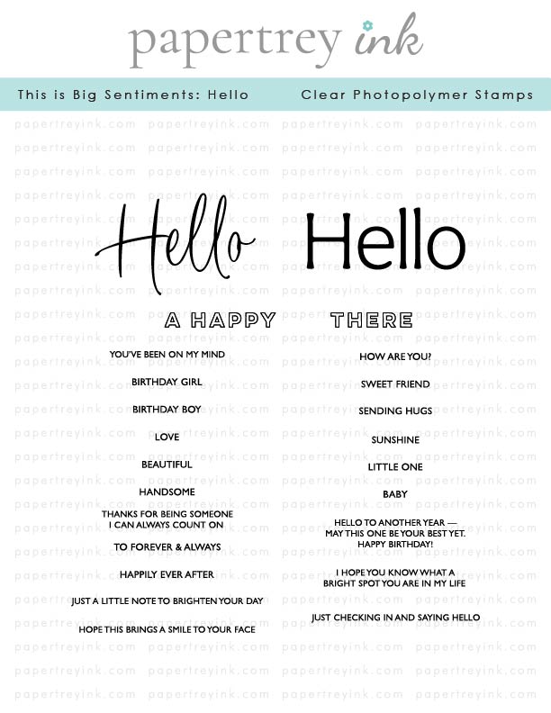 This is Big Sentiments: Hello Stamp Set