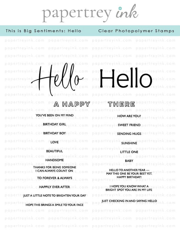 This is Big Sentiments: Hello Stamp Set