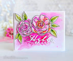 Peonies on Parade Stamp Set + Die Bundle