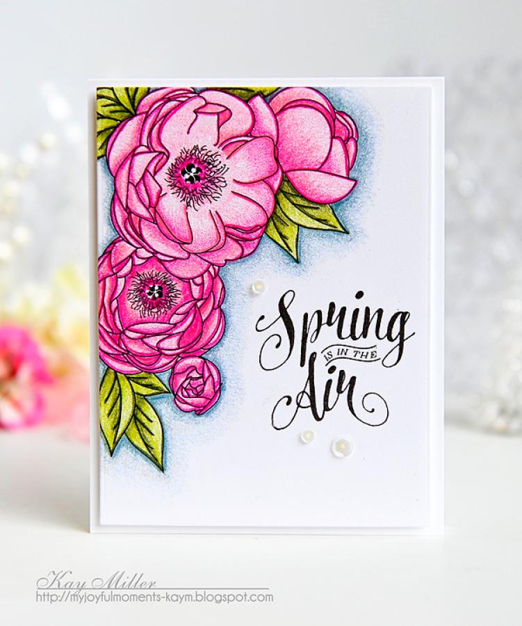 Peonies on Parade Stamp Set + Die Bundle