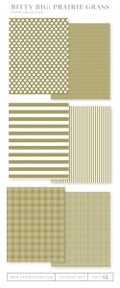 Bitty Big: Prairie Grass Color Collection (24 sheets)