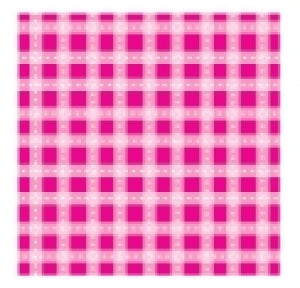 Raspberry Fizz Gingham Individual Pattern Sheets (18 sheets)