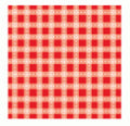 Pure Poppy Gingham Individual Pattern Sheets (18 sheets)