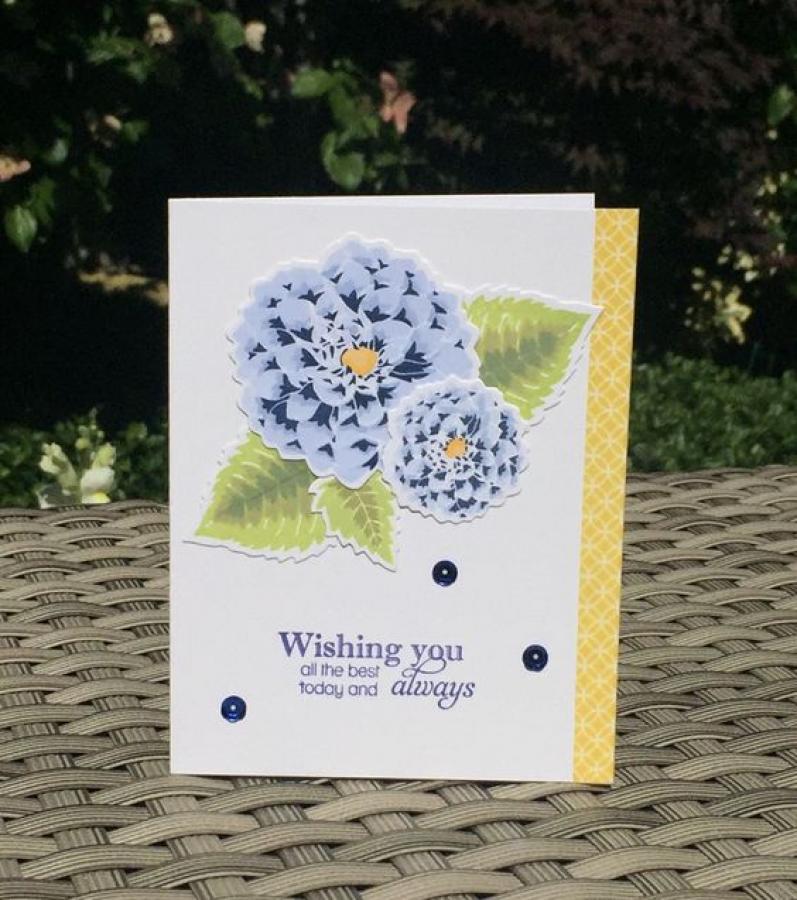 Papertrey Ink - Delightful Dahlia Die Collection (set of 4)