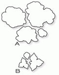 Papertrey Ink - The Sweet Life Die Collection (set of 2)