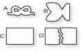 Papertrey Ink - Party Poppers Die Collection (set of 4)
