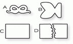 Papertrey Ink - Party Poppers Die Collection (set of 4)